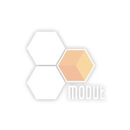 FERIE ZIMOWE W MODUŁOWICACH